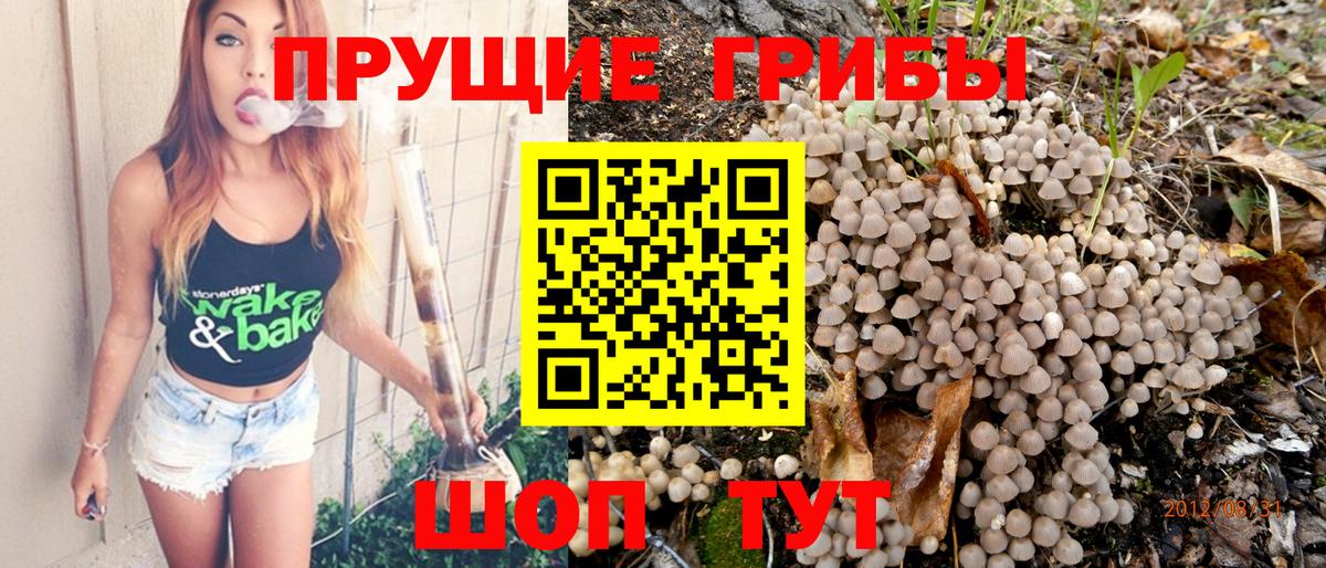 Псилоцибиновые грибы ЛСД Надым
