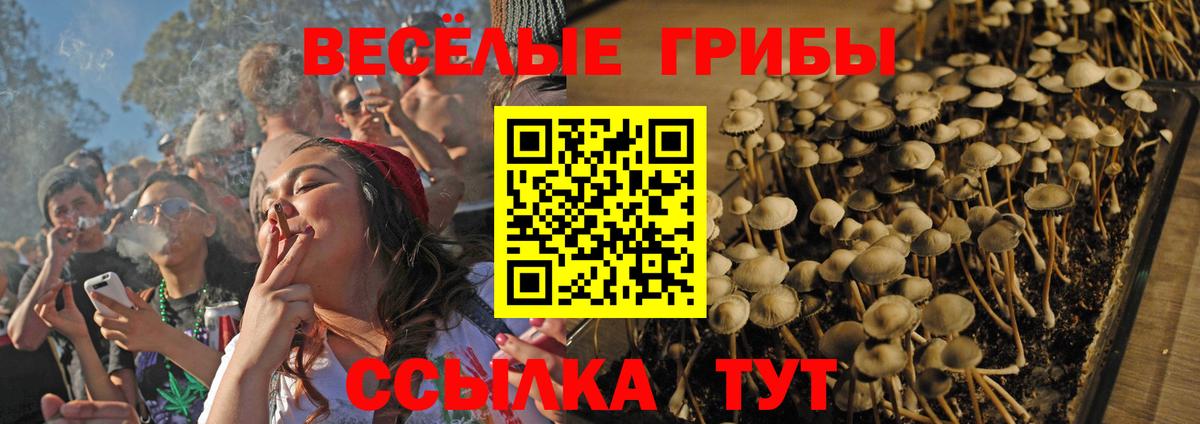 Псилоцибиновые грибы прущие грибы  Вход с VPN  Надым 